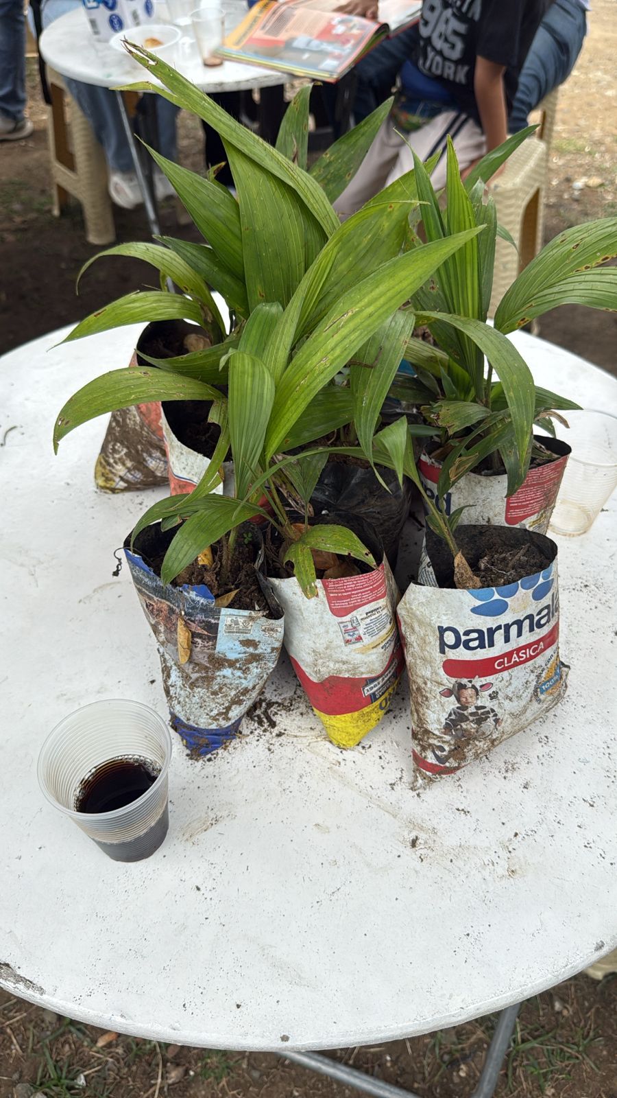 Corredores ecológicos y educación ambiental: la carrera que puede transformar el río Cali