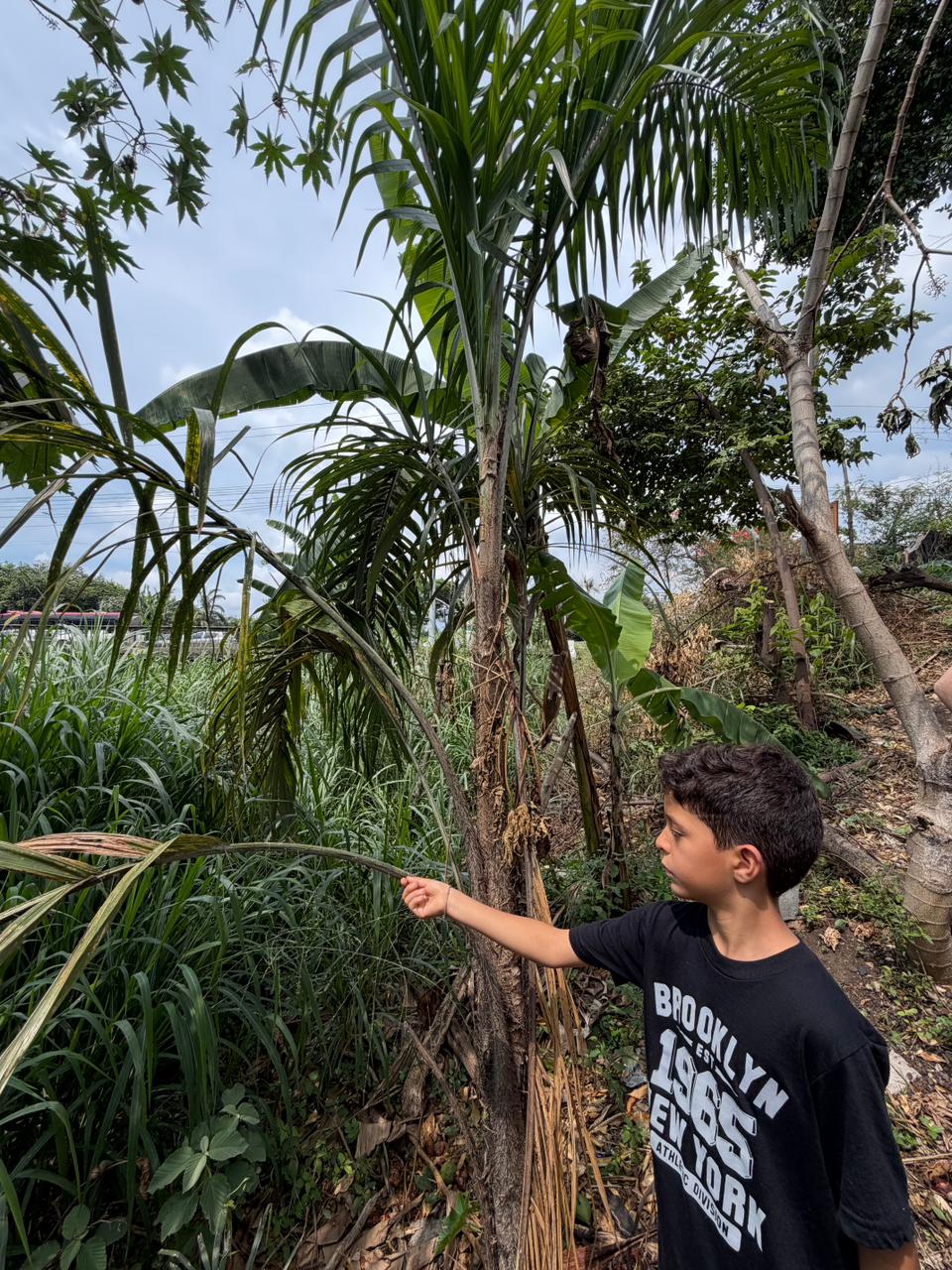 Corredores ecológicos y educación ambiental: la carrera que puede transformar el río Cali